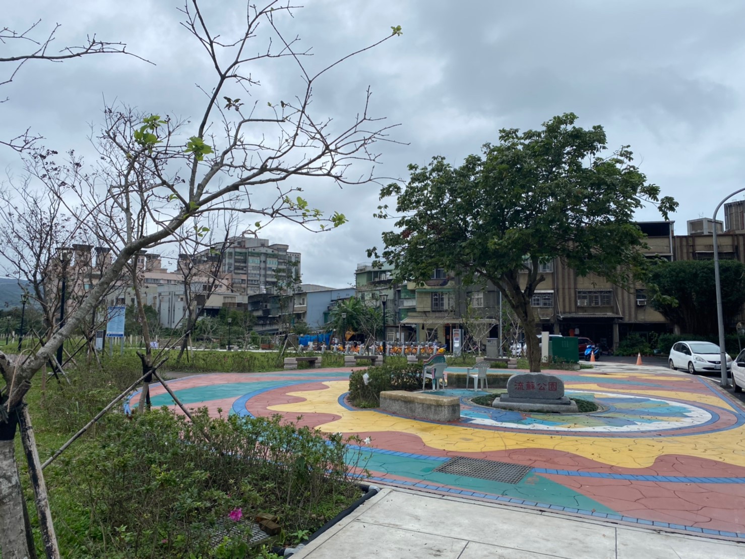 △流蘇公園景色