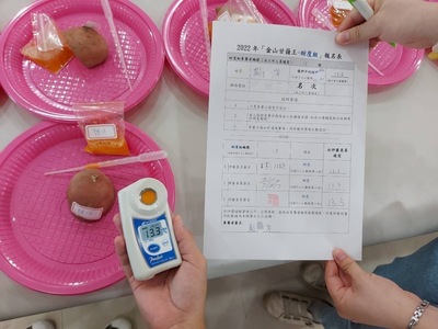 去年甜度最高甘藷高達13.3度