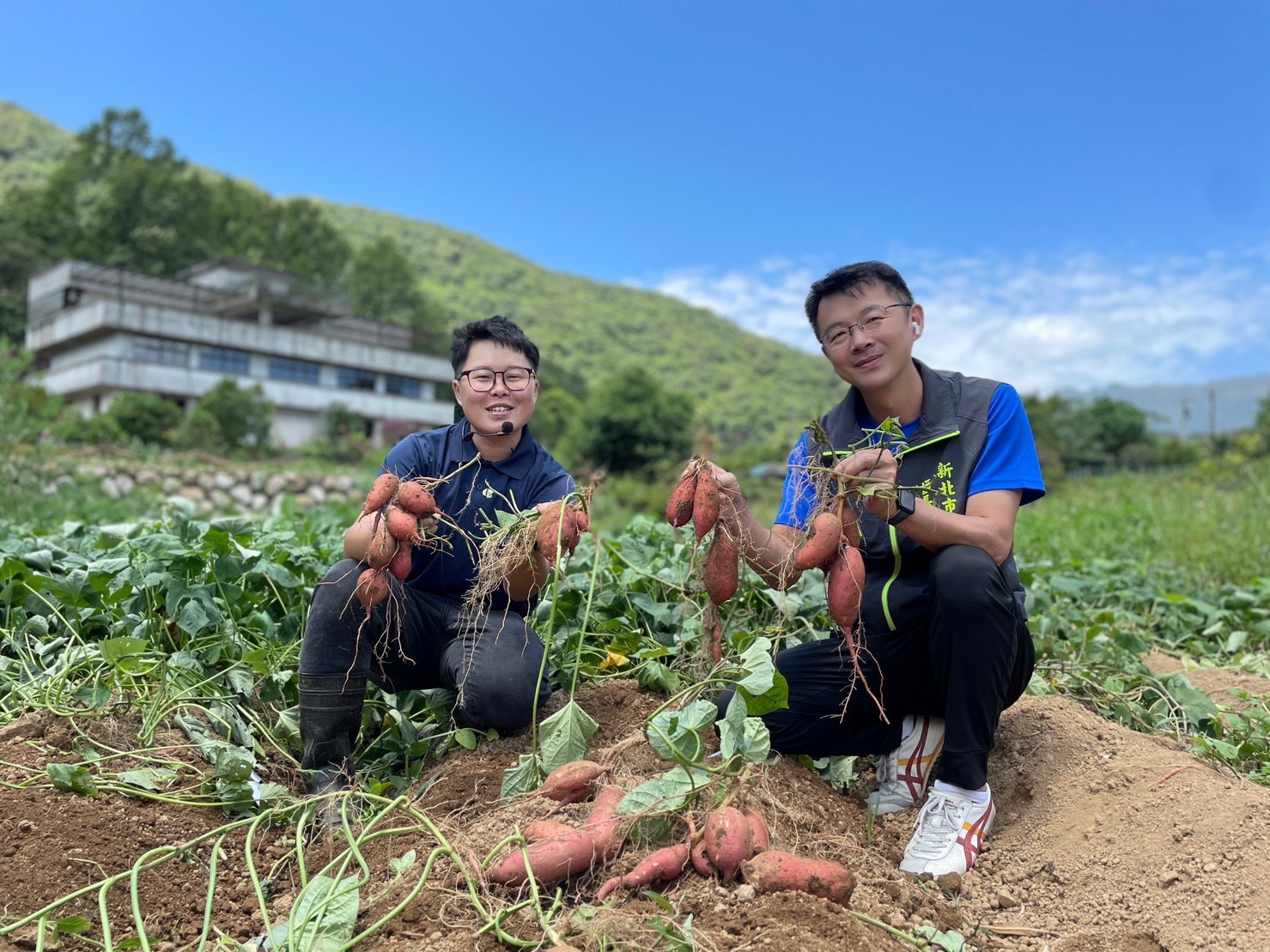 02.2023金山甘藷季！放藷假來去田間焢土窯