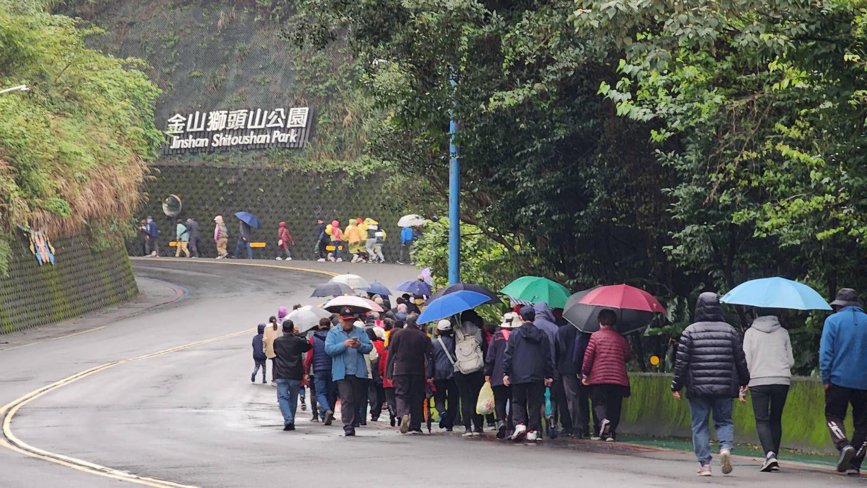 民眾熱情參與賞櫻健行活動串起一條人龍