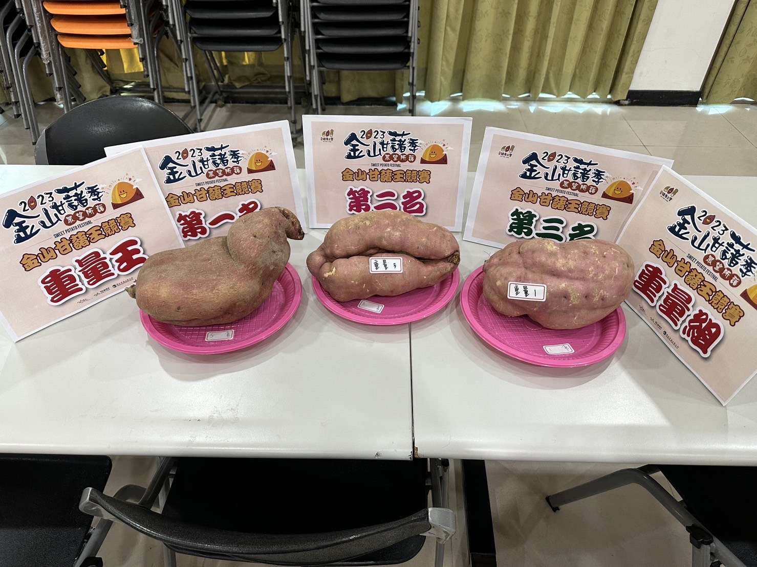 02.2023年金山甘藷重量王