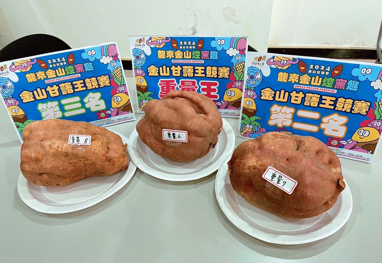 第九屆金山甘藷重量王由劉伊琮以2,400公克拔得頭籌！