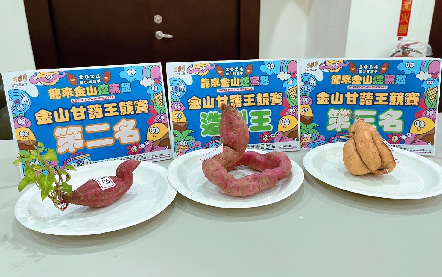 第九屆金山甘藷造型王由劉伊琮以如同「金龍雄風之姿的甘藷之王」型態而得名。