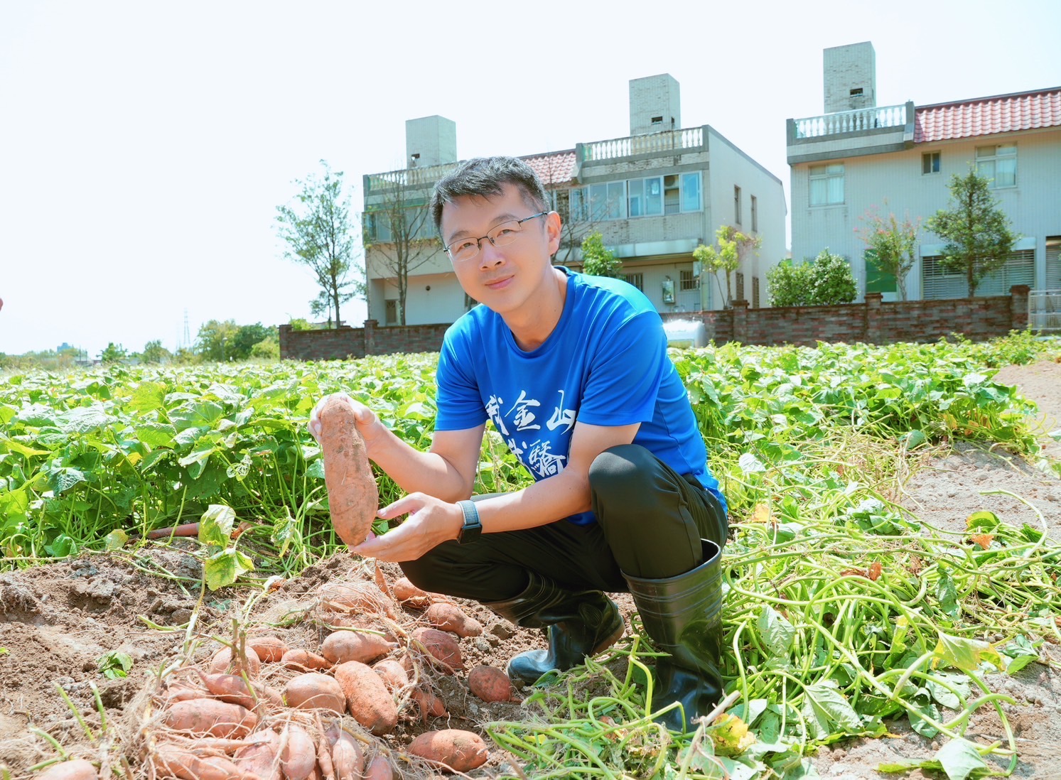 04.金山特產甘藷擁有火山特殊土質加上陽明山系水泉灌溉味道香甜美味